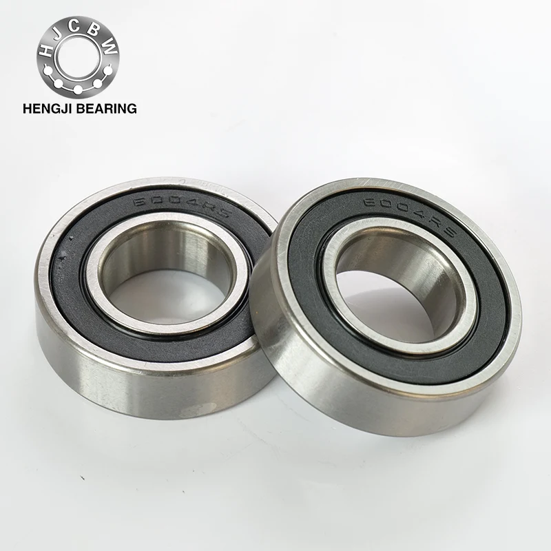 6004RS Double Row Deep Groove Ball Bearings